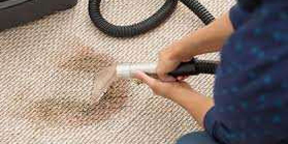 The Top 10 Benefits of Professional Carpet Cleaning for Your Home