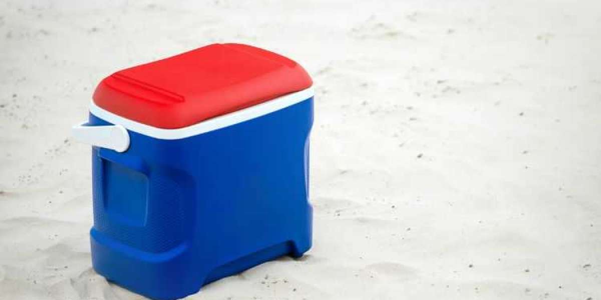 Cooling Adventures: Exploring the Dynamics of the Camping Coolers Market