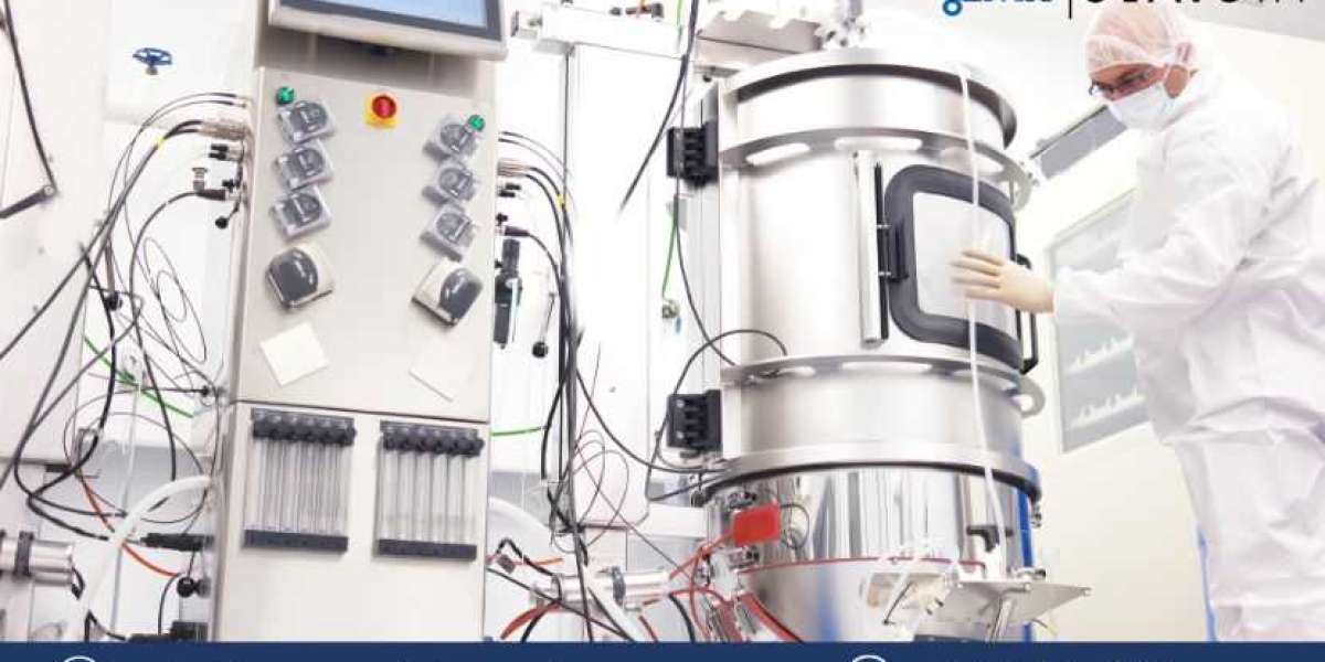 Small Scale Bioreactors Market Size, Share, Trends, Growth, Report 2024-2032
