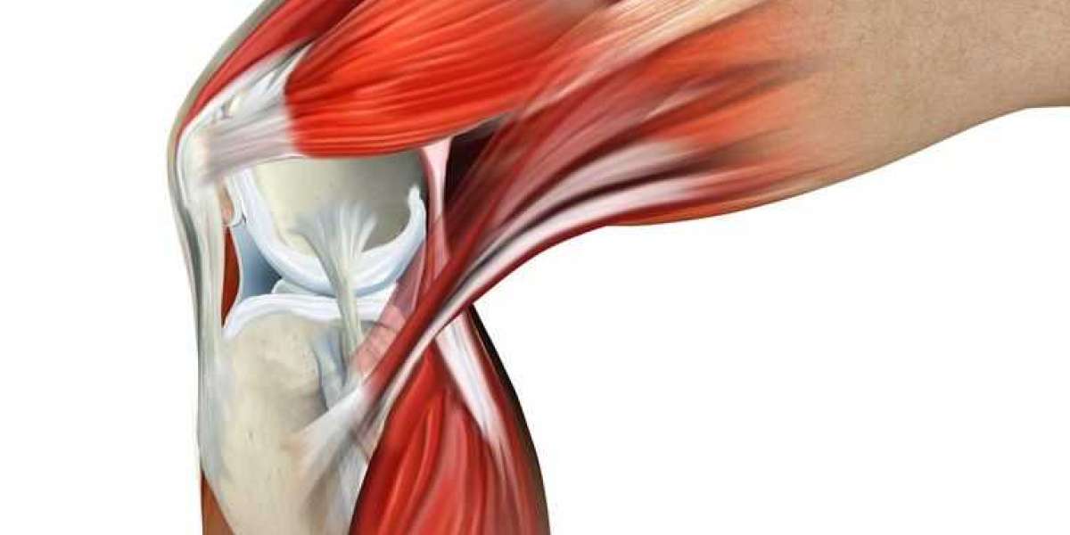 Understanding Muscles and Joint Pain: Causes, Symptoms, and Treatment Options