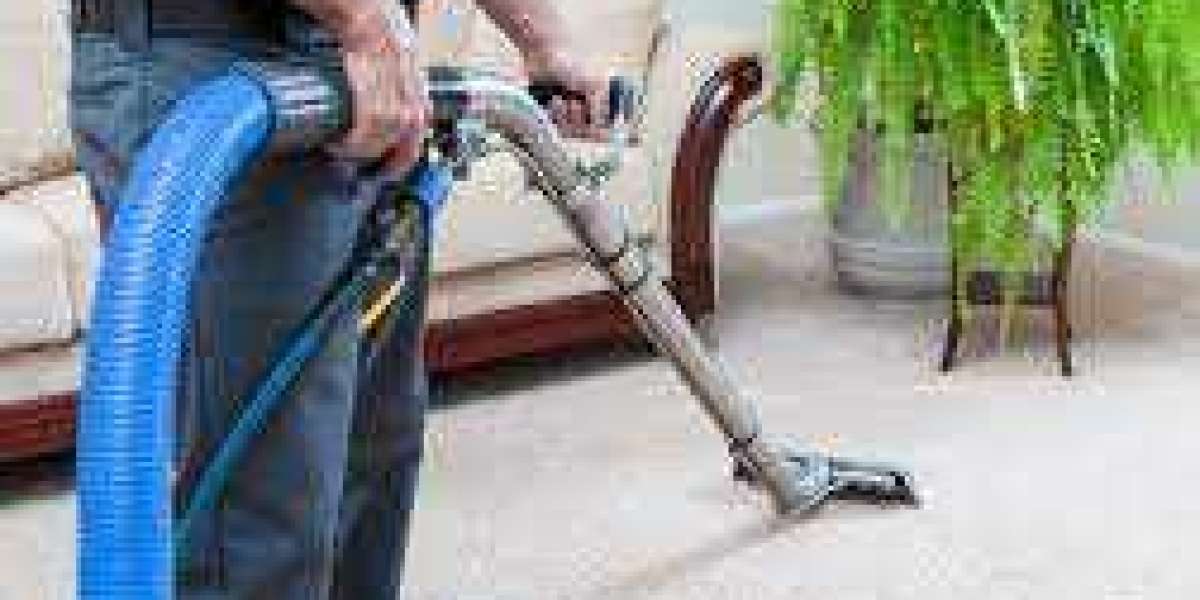 Breathe Freely: Carpet Cleaning Role in Allergen Management