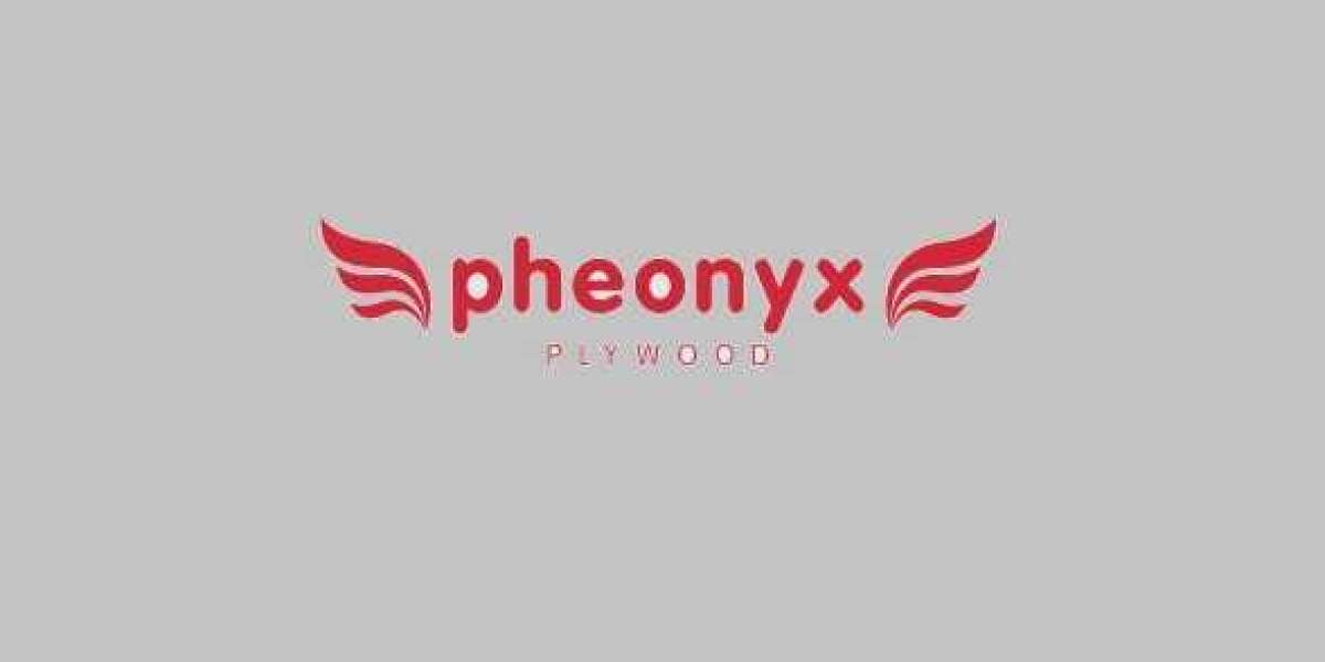 Prominent Plywood Manufacturers in Delhi