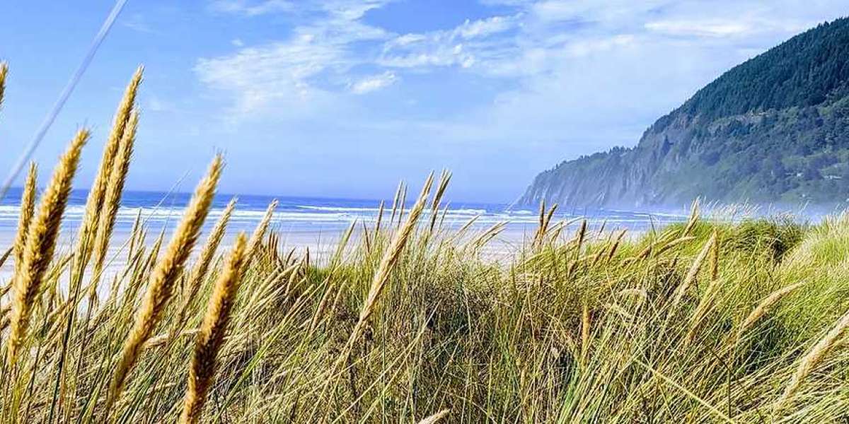 Family-Friendly Adventure Rentals in Manzanita: Fun for All Ages