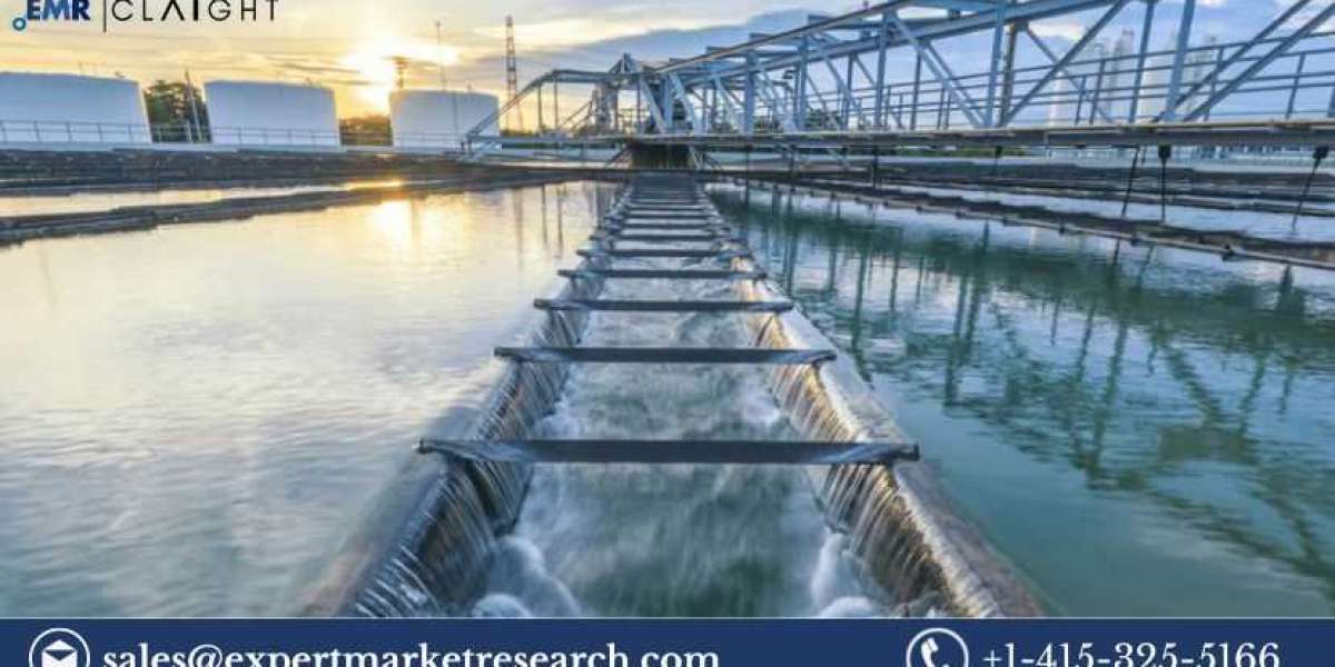 Water Clarifiers Market Analysis: Growth Projections and Future Trends
