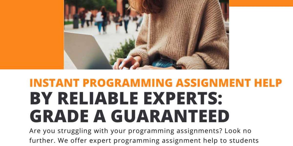 Why Our Programming Assignment Help Services Are Perfect for Students on a Budget