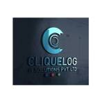 cliquelogit solution