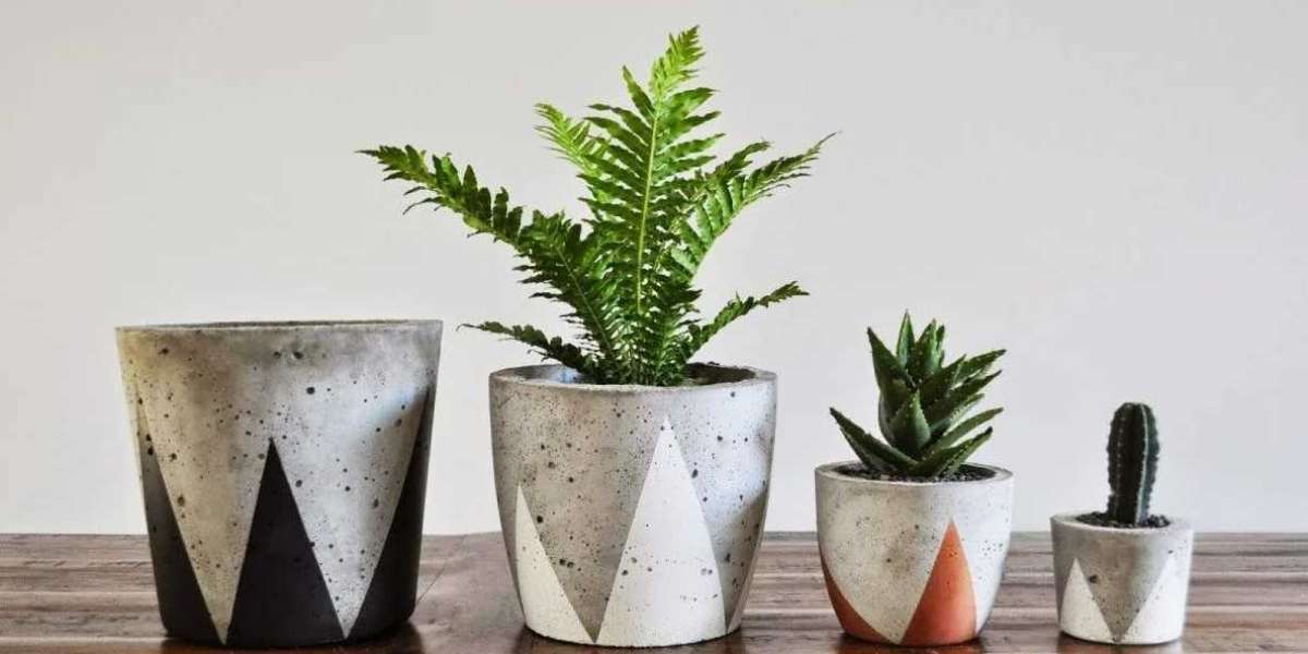 How to Make Your Own Cast Concrete Pots in San Francisco?