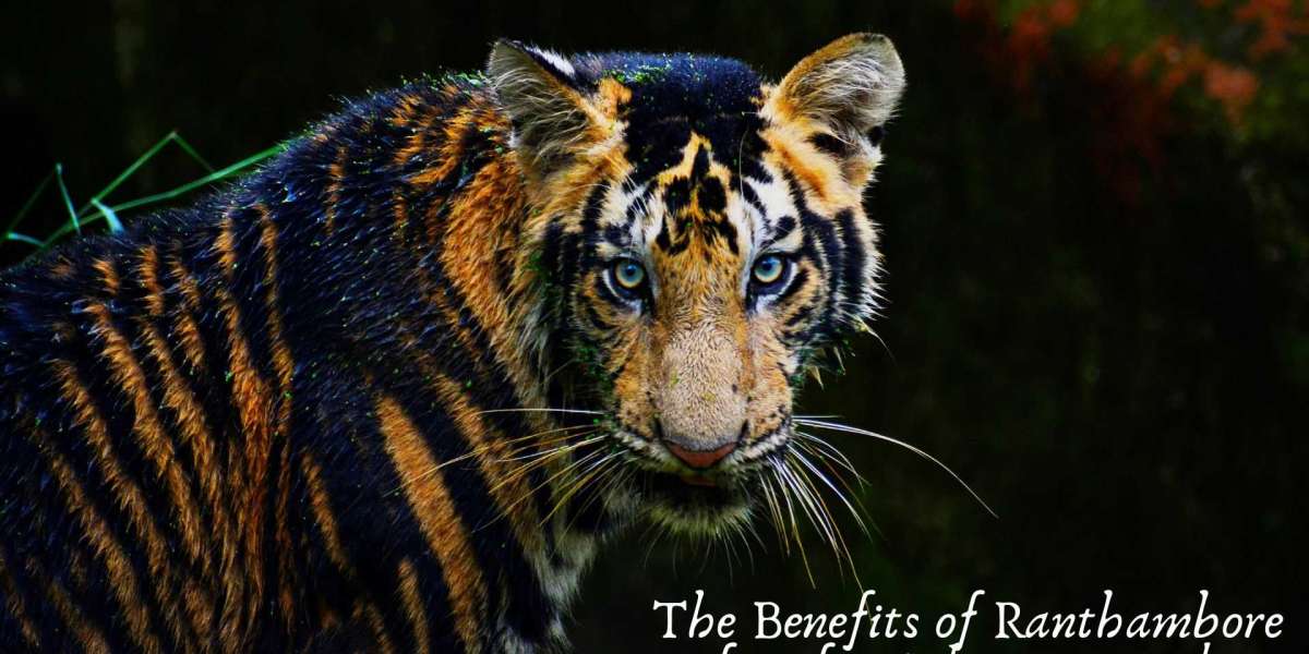 The Benefits of Ranthambore Safari for Adventure Seekers