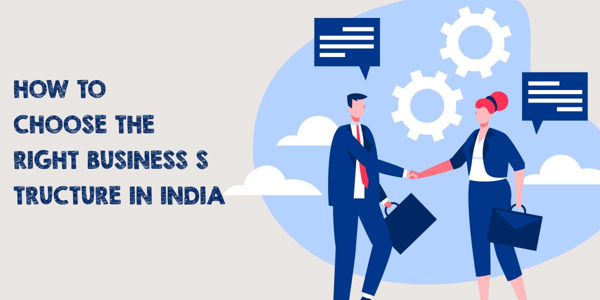 How to Choose the Right Business Structure in India: A Guide for Entrepreneurs