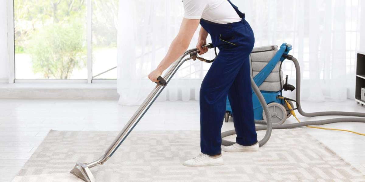 How Carpet Cleaning Helps Purify Your Home’s Air