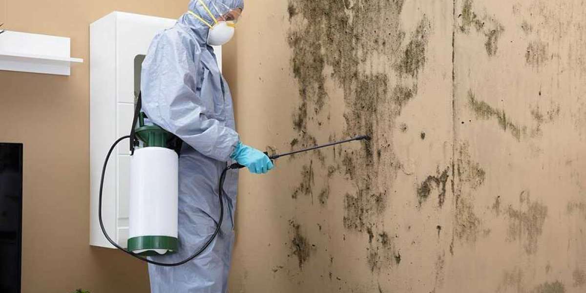 Mold  Cleaning Dubai