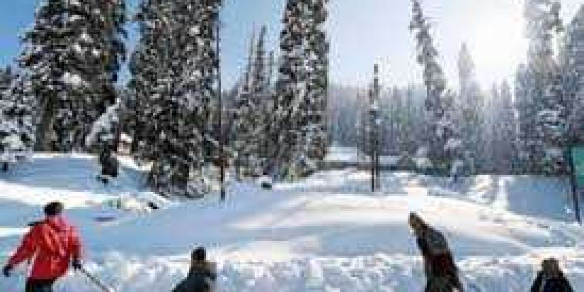 Discover the Magic of Kashmir: Tour Packages from Kolkata