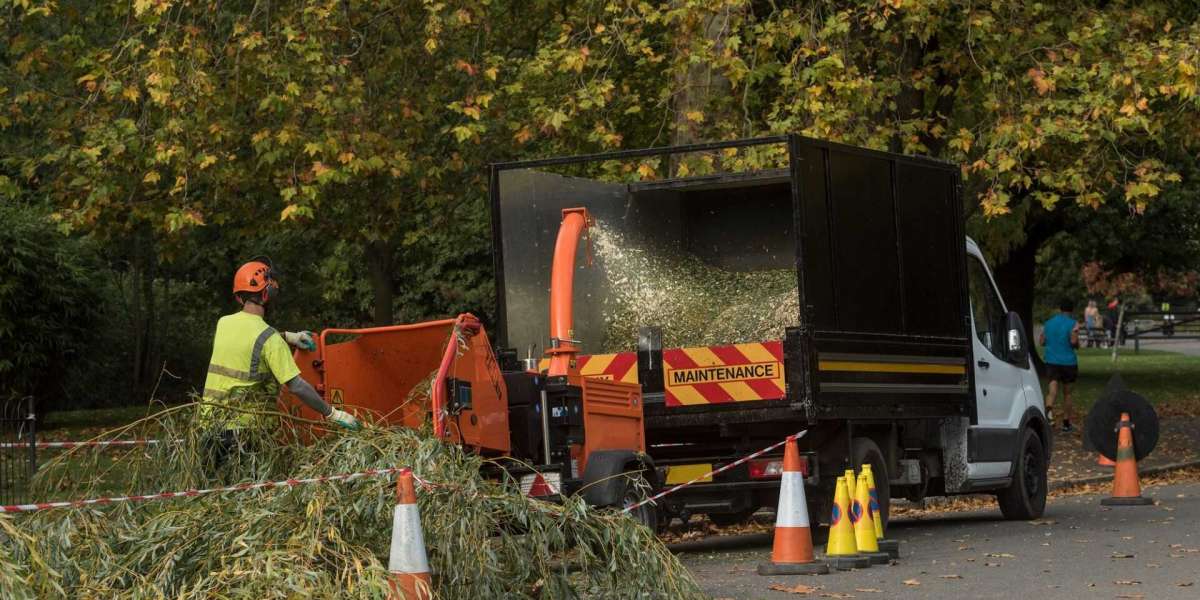 The Importance of Tree Surveys in North London