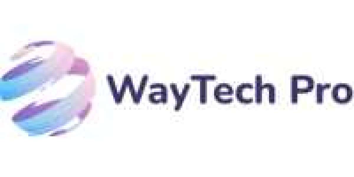 WayTech Pro - Digital Marketing Agency