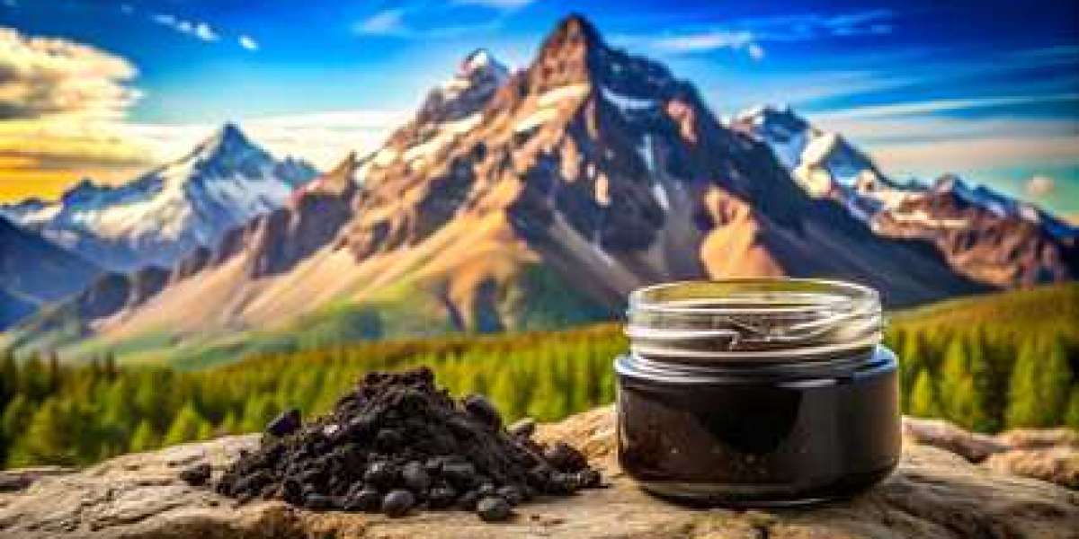 Explore the Benefits of Pure Shilajit for Enhanced Health