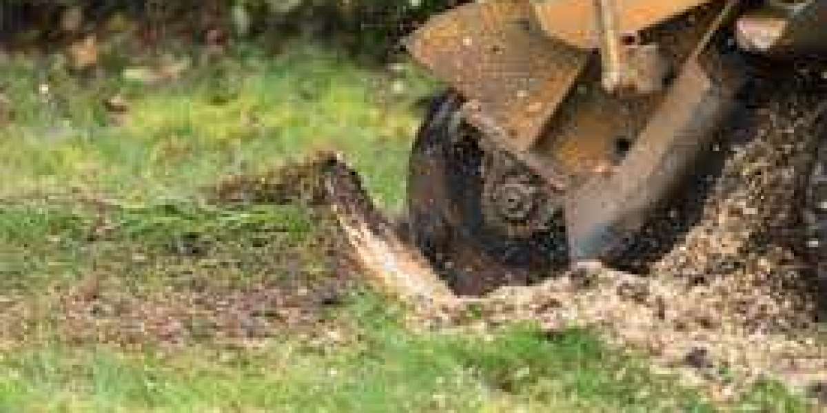 The Ultimate Guide to Tree Stump Removal: Techniques, Tips, and Tricks