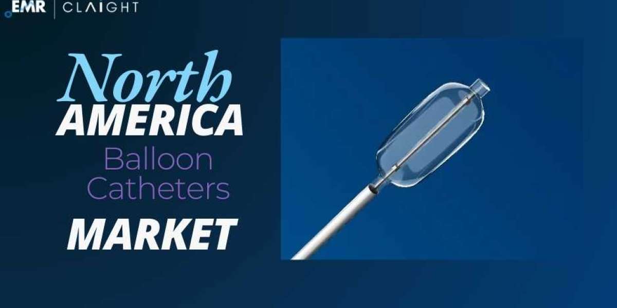 North America Balloon Catheters Market