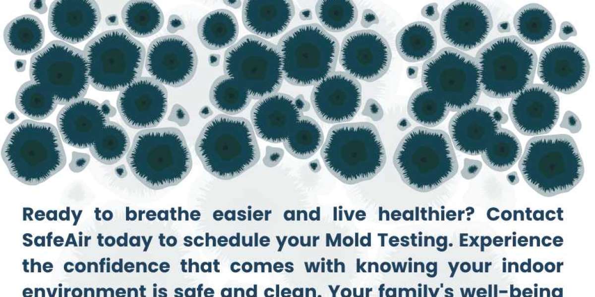 Mold Testing Services in Malibu: Protecting Your Home and Health